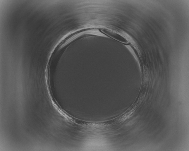 X0000071790958200607150117