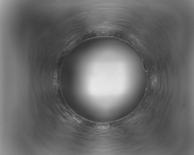 X0000071790964200607150117