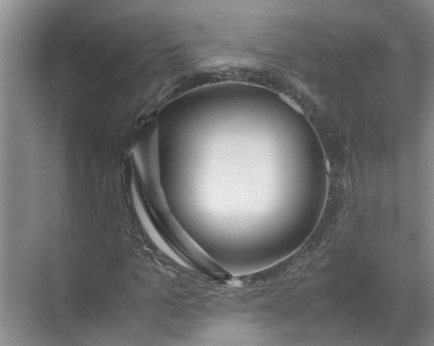 X0000071790965200607150116