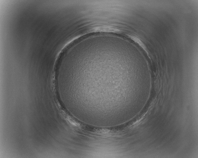 X0000071790971200607150116