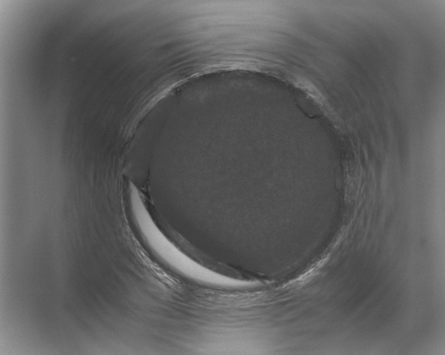 X0000071790977200607150116