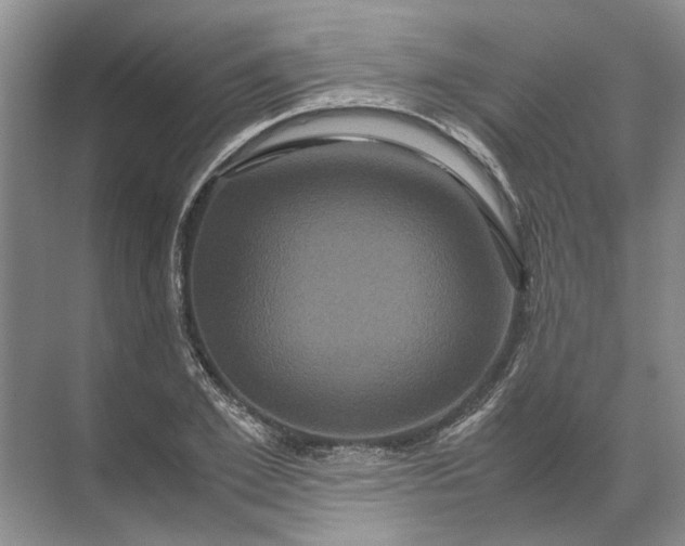 X0000071790981200607150116