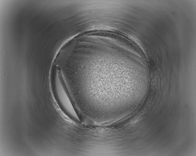 X0000071790987200607150116
