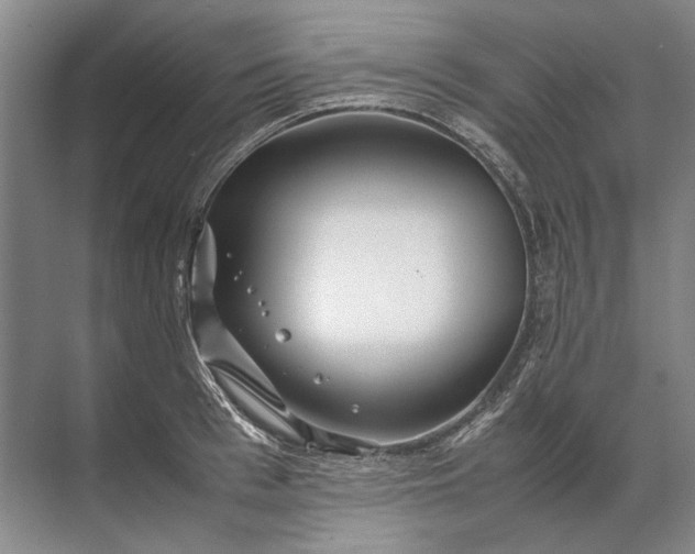 X0000071790993200607150116