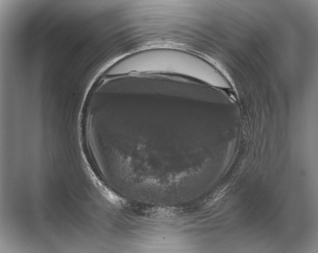 X0000071790995200607150116