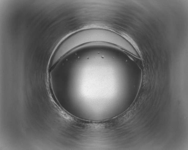 X0000071790996200607150116