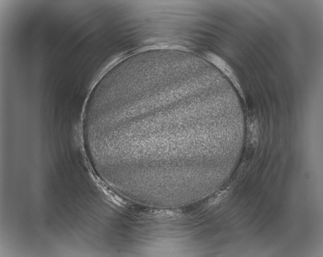 X0000071791002200607150116