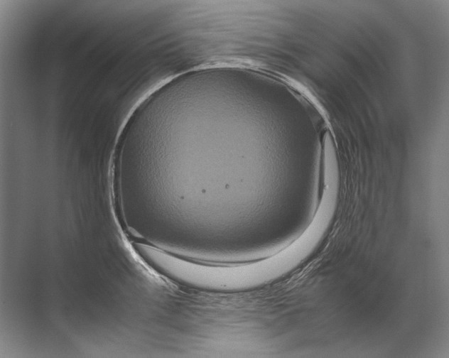 X0000071791003200607150116