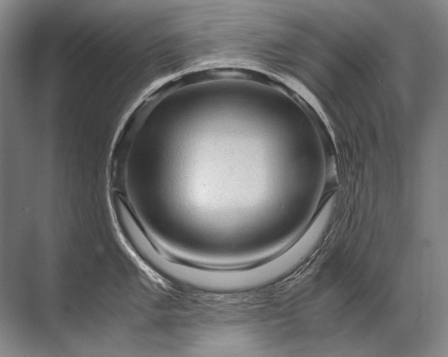 X0000071791005200607150116