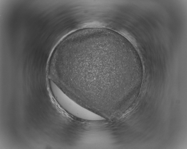 X0000071791008200607150116