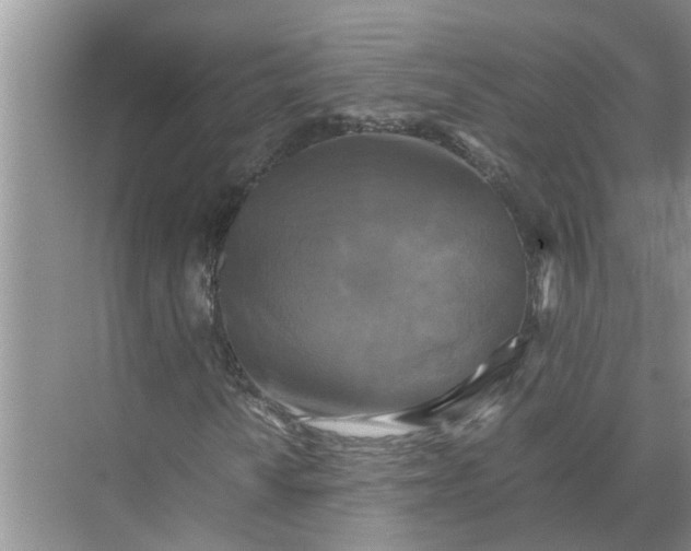 X0000071791010200607150115
