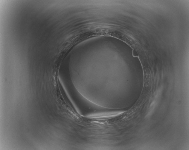 X0000071791013200607150115