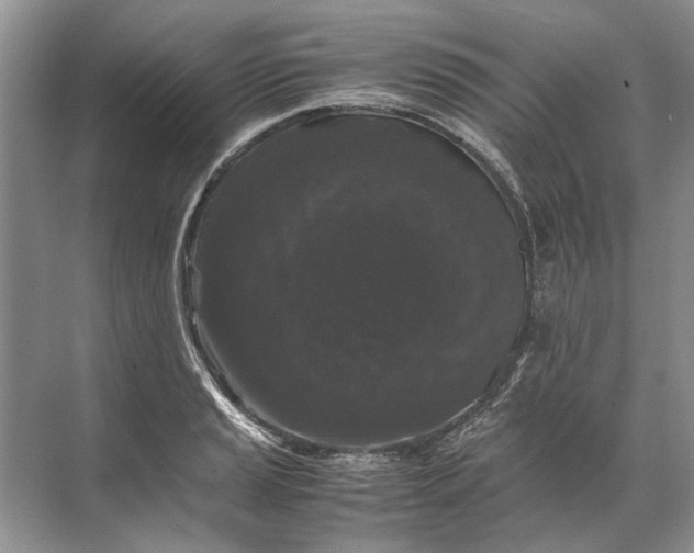X0000071791037200607150115