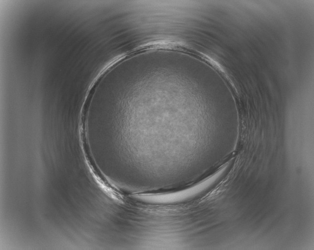 X0000071791042200607150115