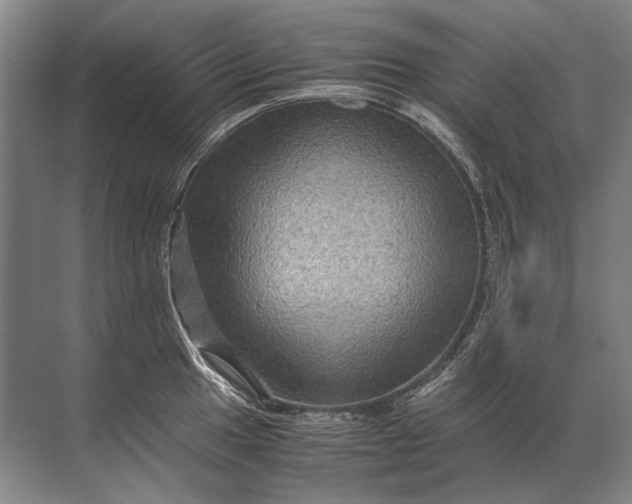 X0000071791049200607150116