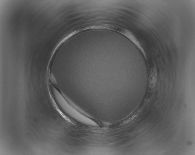 X0000071791053200607150116