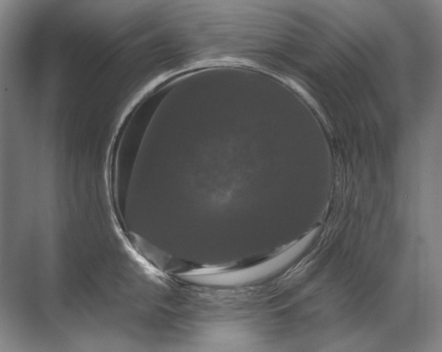 X0000071791054200607150116