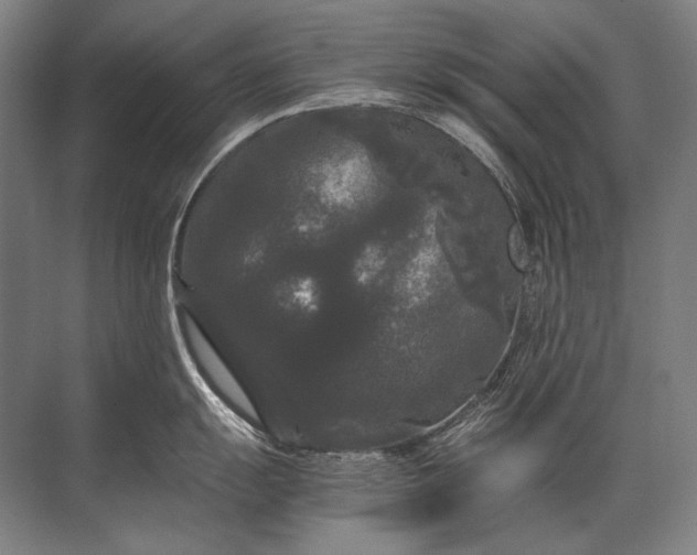X0000071791055200607150116
