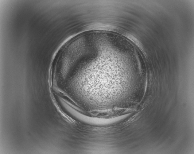 X0000071791128200607150114