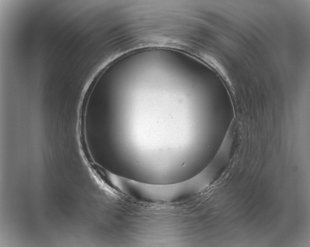 X0000071791136200607150114