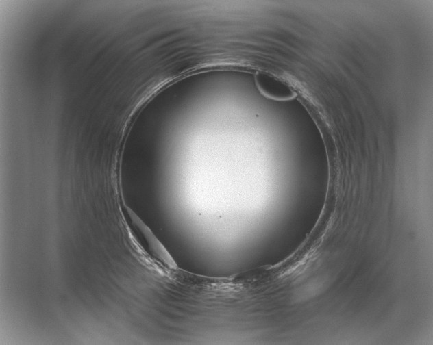 X0000071791137200607150114