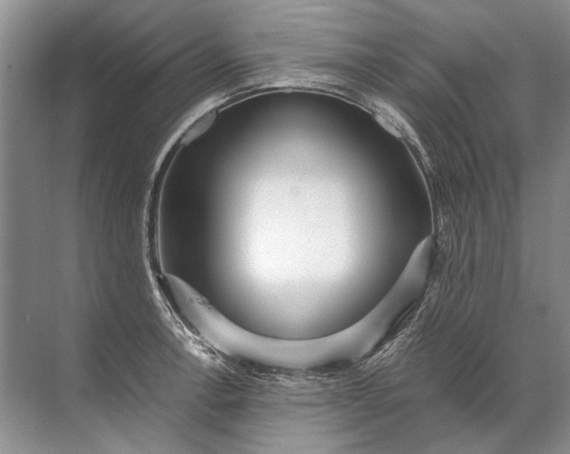 X0000071791138200607150114