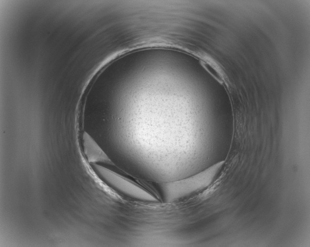 X0000071791142200607150114