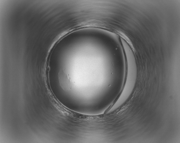 X0000071791146200607150114