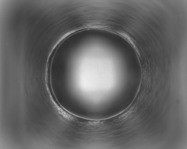 X0000071791147200607150114