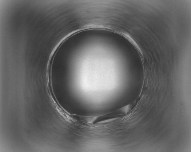X0000071791148200607150114