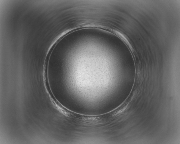 X0000071791149200607150114