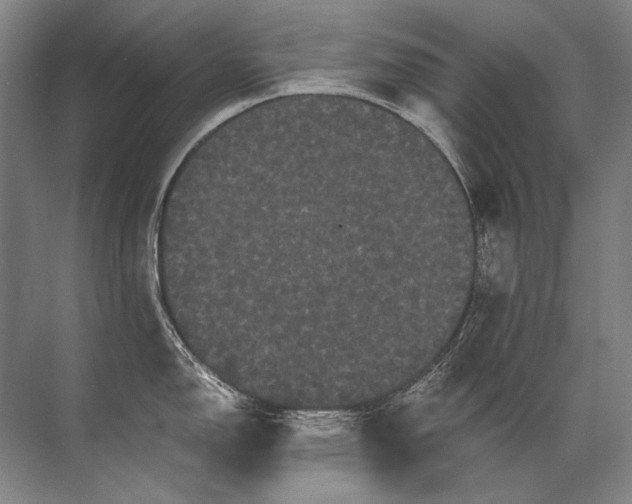 X0000071791150200607150114