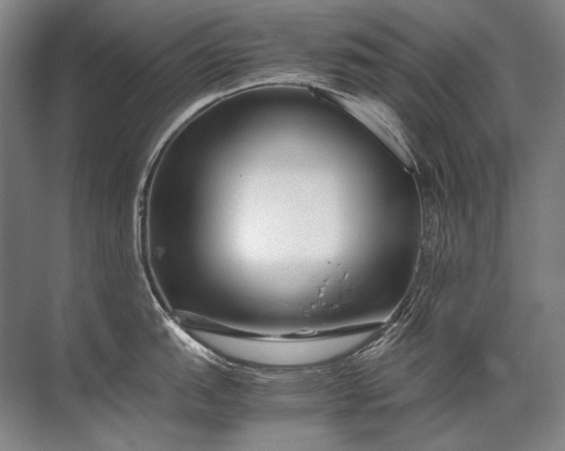 X0000071791151200607150114
