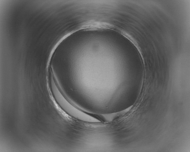 X0000071791152200607150114