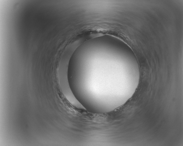 X0000071791153200607150113