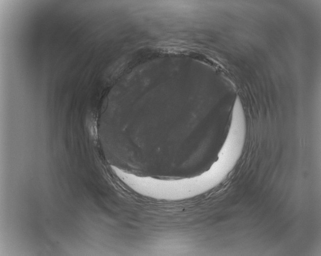 X0000071791155200607150113