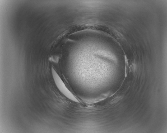 X0000071791156200607150113