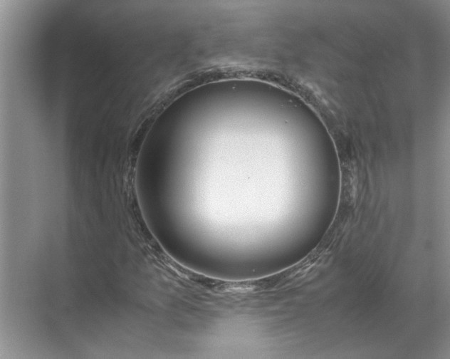X0000071791157200607150113