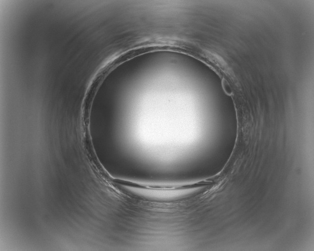 X0000071791172200607150113
