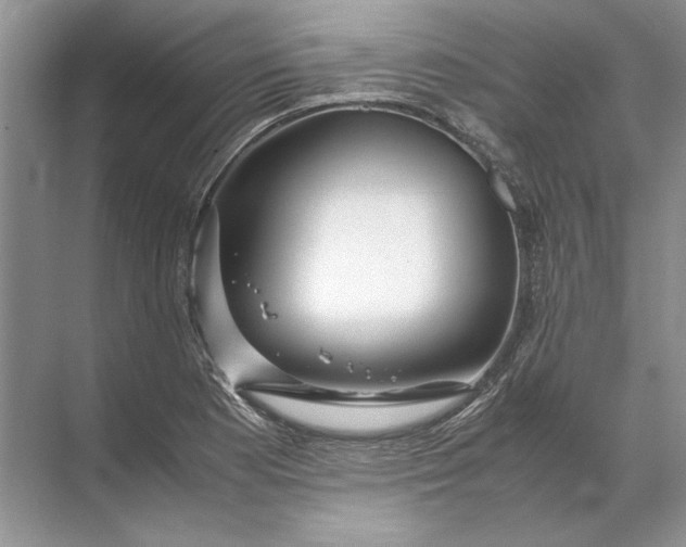 X0000071791177200607150113