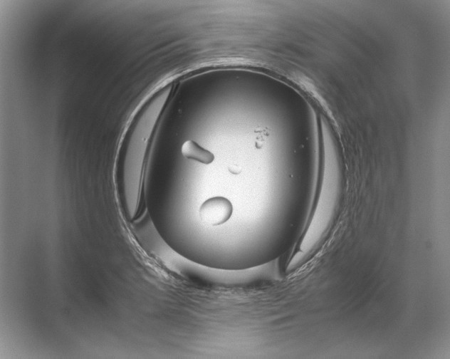 X0000071791181200607150113