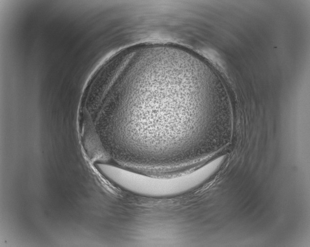 X0000071791183200607150113