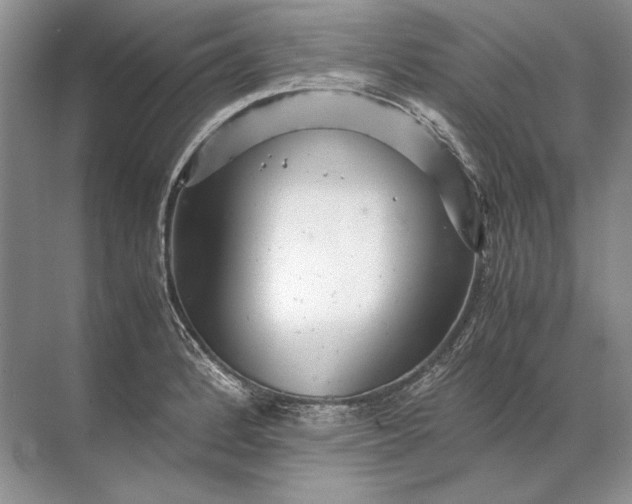 X0000071791184200607150113