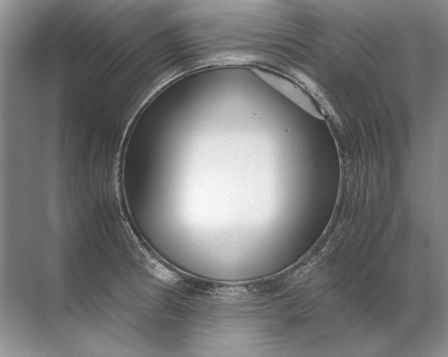 X0000071791186200607150113