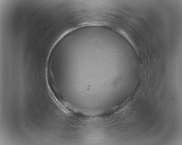 X0000071791187200607150113