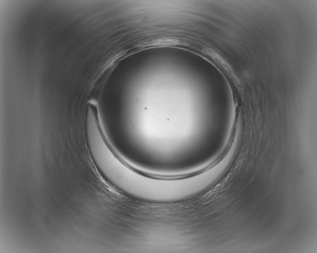X0000071791193200607150113