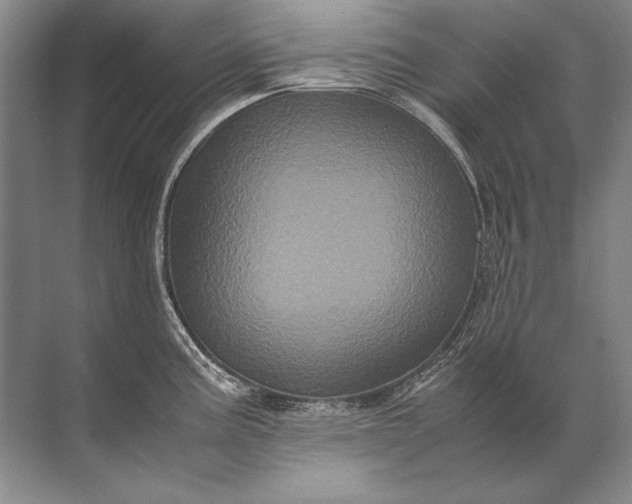 X0000071791195200607150113