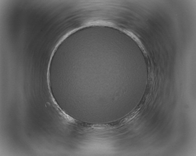 X0000071791199200607150113