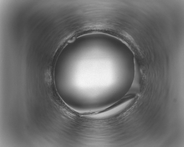 X0000071791218200607150112