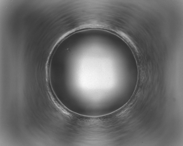 X0000071791238200607150112